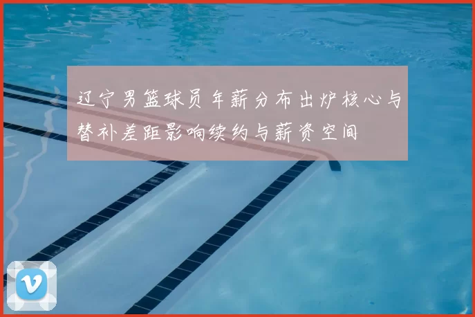 辽宁男篮球员年薪分布出炉核心与替补差距影响续约与薪资空间