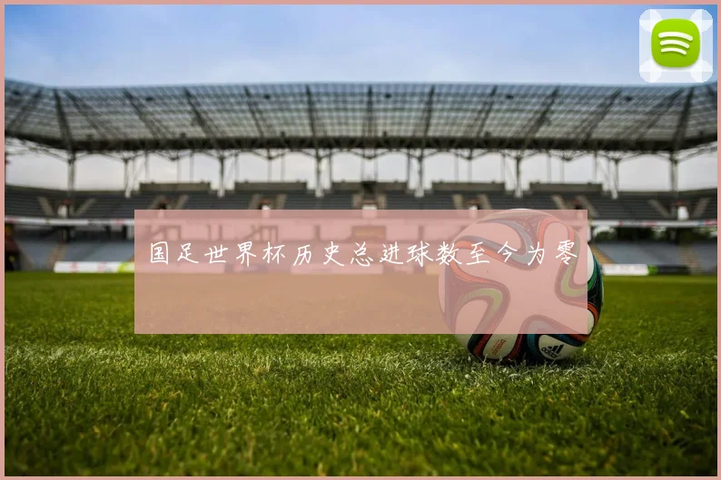 国足世界杯历史总进球数至今为零