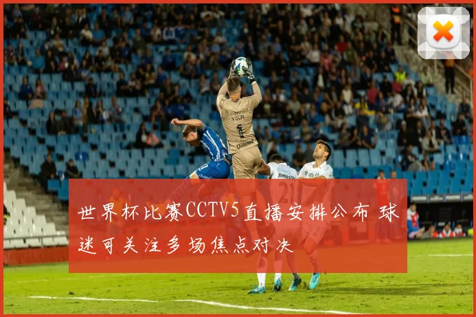 世界杯比赛CCTV5直播安排公布 球迷可关注多场焦点对决