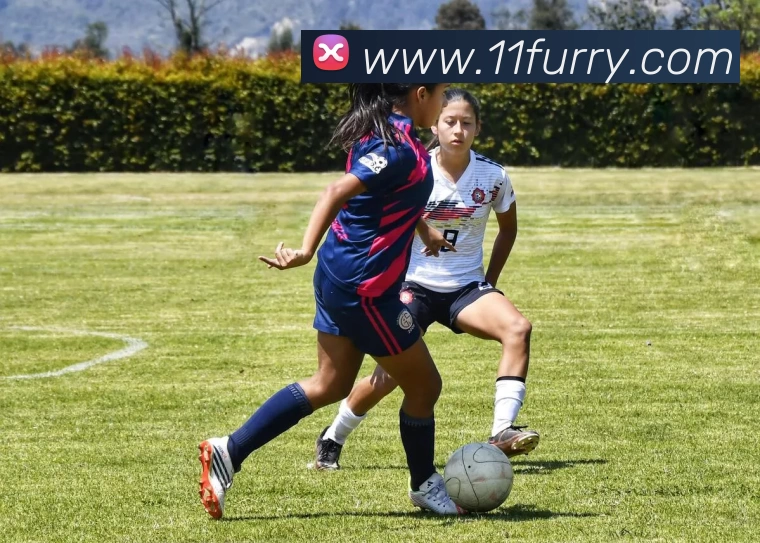 安博站·官方版网站登录入口 - 安博(中国)APP 体育赛事宣传图